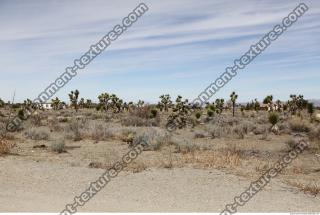 background desert California 0004